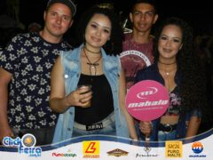 Festa do Boi Malandro